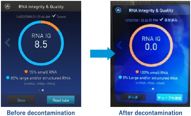 Image of dSDNA degradation