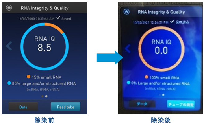 RNA分解確認（蛍光光度計）